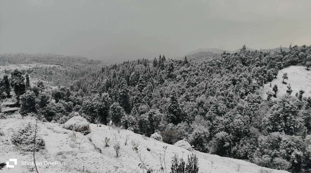 Himalayan Spruce Farm Stay--n05-