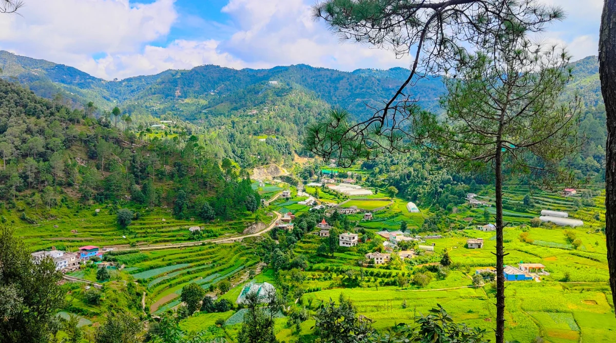 Himalayan Spruce Farm Stay--n08-
