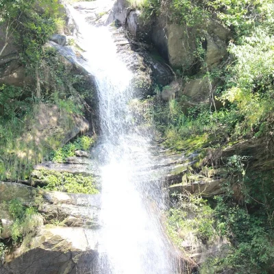 Himalayan Spruce Farm Stay--img-13