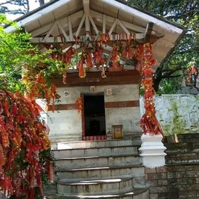 Himalayan Spruce Farm Stay--img-17