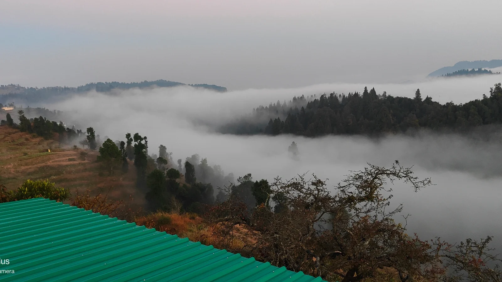 Himalayan Spruce Farm Stay--n07-
